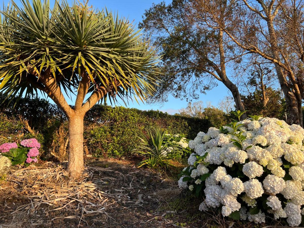 Rosa Do Canto Monte  Extérieur photo